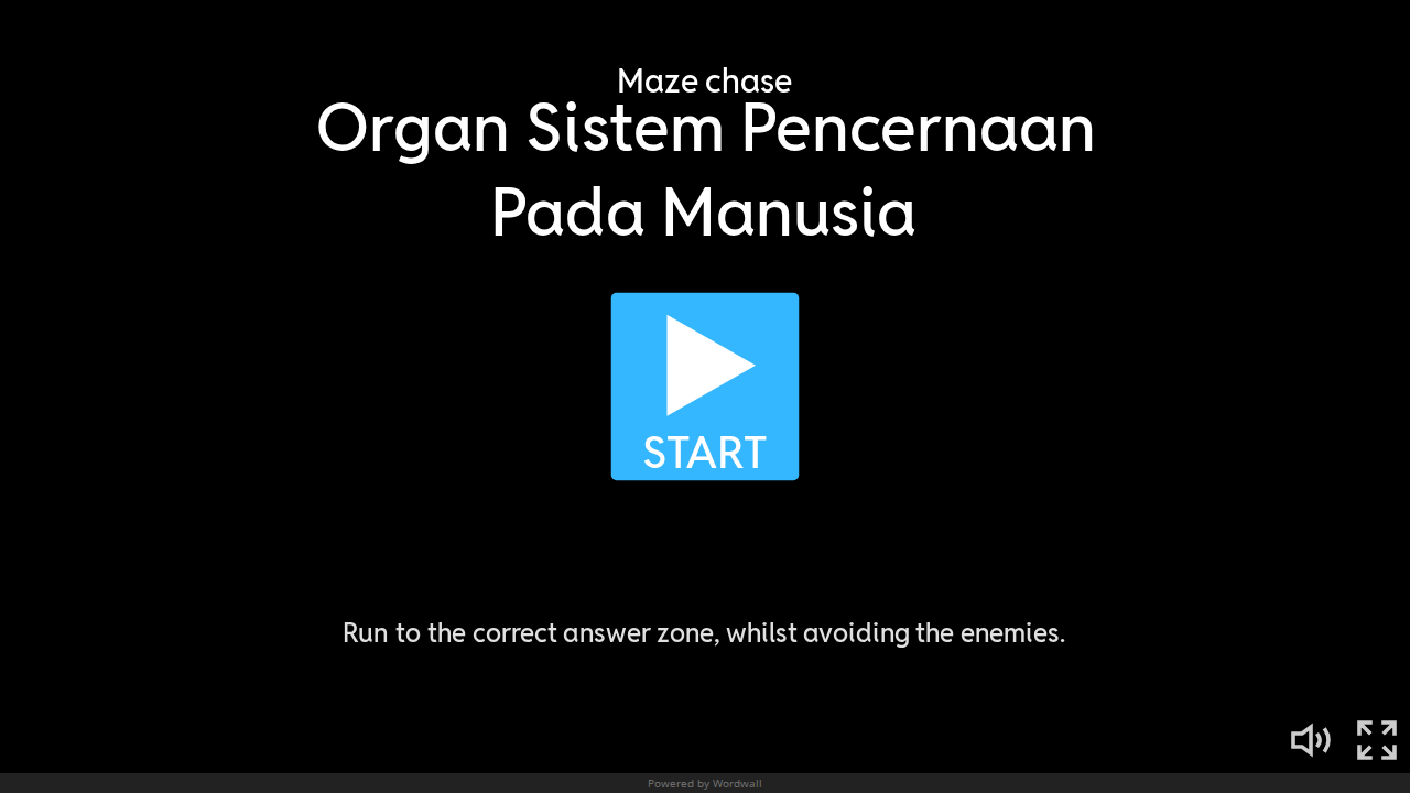 Organ Sistem Pencernaan Manusia